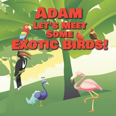 Book cover for Adam Let's Meet Some Exotic Birds!