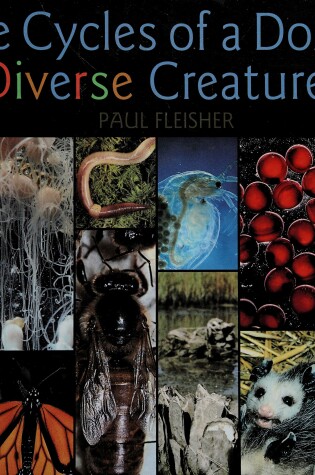 Cover of Life Cycles/Diverse Creatures