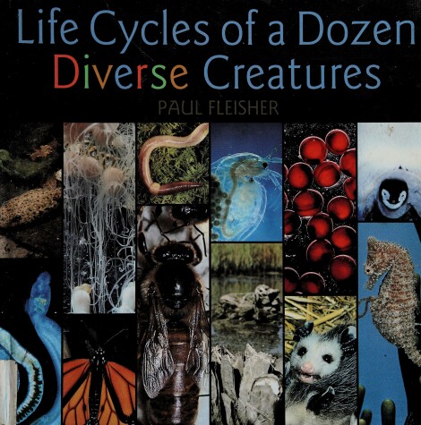 Book cover for Life Cycles/Diverse Creatures