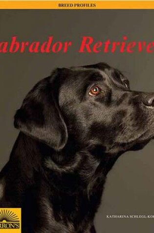 Cover of Labrador Retrievers