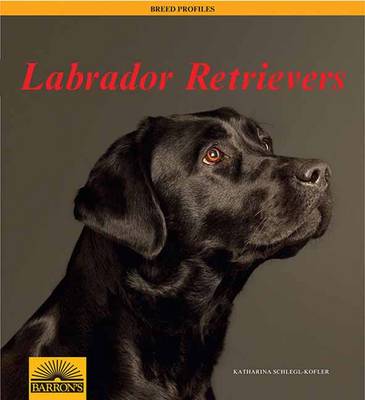 Book cover for Labrador Retrievers