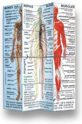 Cover of Human Body Cube Book (USA)