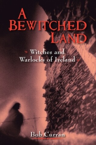 Cover of A Bewitched Land