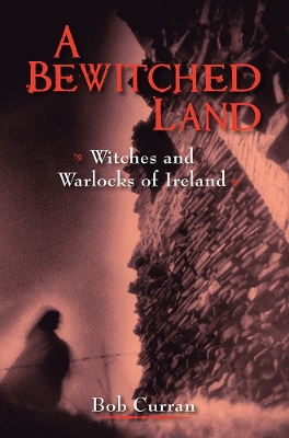 Book cover for A Bewitched Land