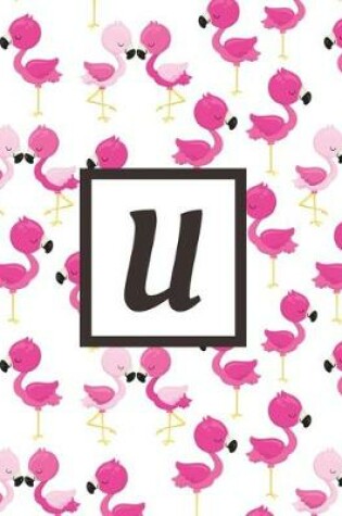 Cover of U