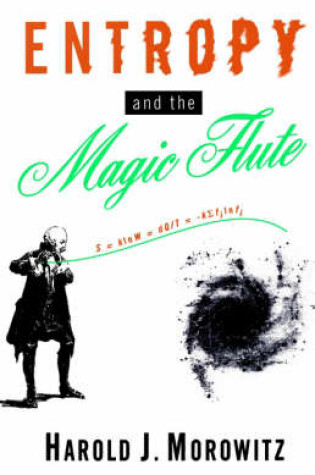 Cover of Entropy and the Magic Flute
