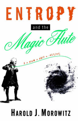 Book cover for Entropy and the Magic Flute