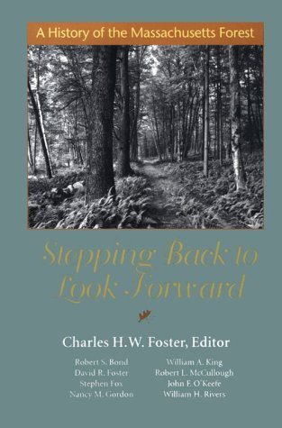 Cover of Stepping Back to Look Forward