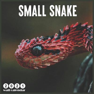 Book cover for Small Snake 2021 Wall Calendar