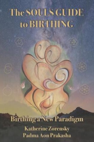 Cover of The Souls Guide to Birthing