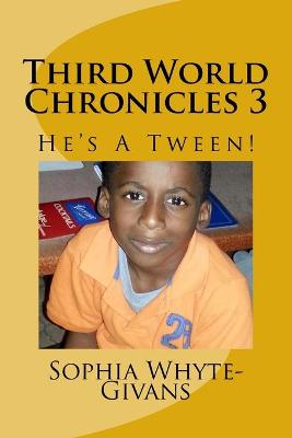 Cover of Third World Chronicles 3