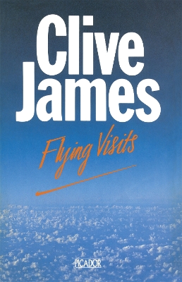 Book cover for Flying Visits