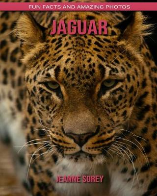 Book cover for Jaguar