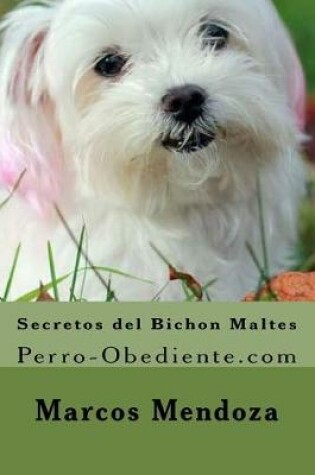 Cover of Secretos del Bichon Maltes