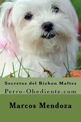 Book cover for Secretos del Bichon Maltes