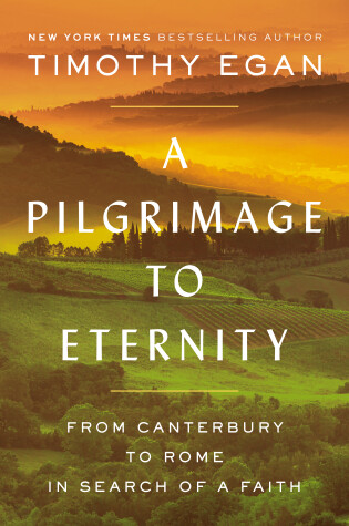 Book cover for A Pilgrimage to Eternity