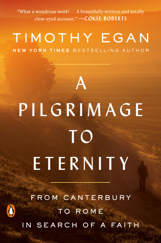 Cover of A Pilgrimage to Eternity