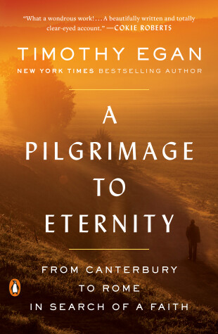 Book cover for A Pilgrimage to Eternity