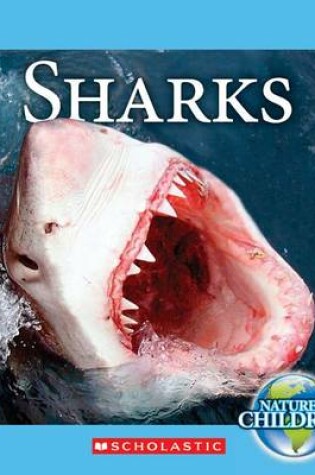 Cover of Sharks