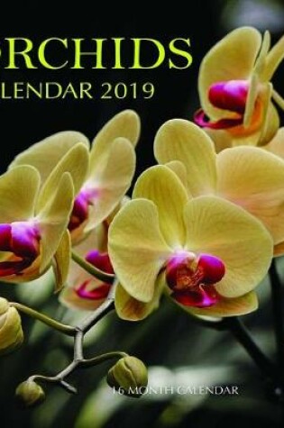 Cover of Orchids Calendar 2019