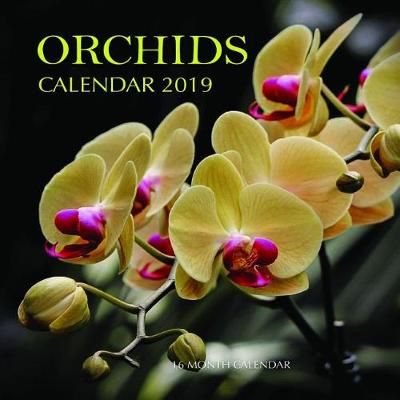 Book cover for Orchids Calendar 2019