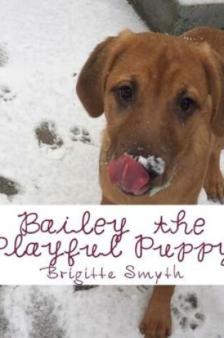 Cover of Bailey The Playful Puppy Picture Book