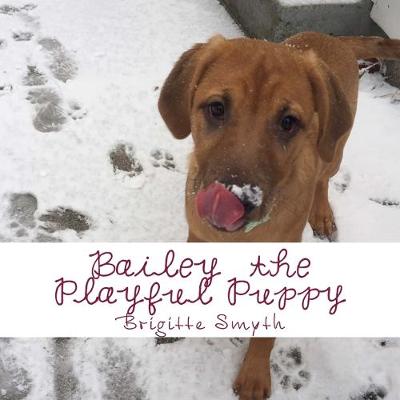 Book cover for Bailey The Playful Puppy Picture Book
