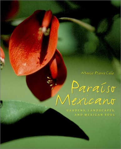 Book cover for Paraiso Mexicano