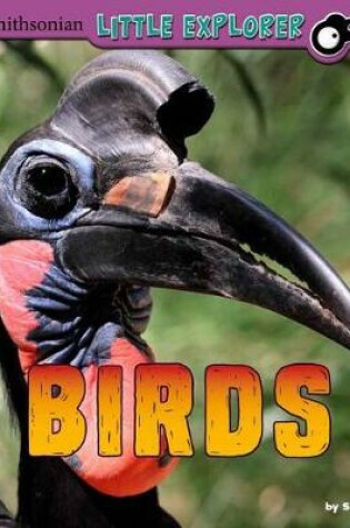 Cover of Birds: a 4D Book (Little Zoologist)