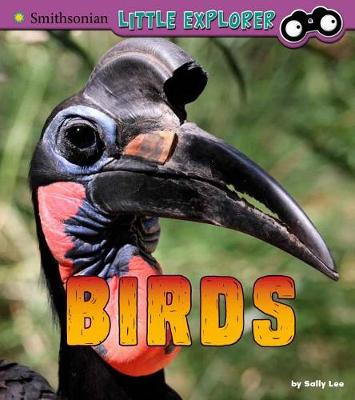 Book cover for Birds: a 4D Book (Little Zoologist)