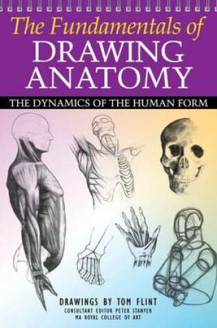 Cover of The Fundamentals of Drawing Anatomy