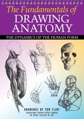 Book cover for The Fundamentals of Drawing Anatomy
