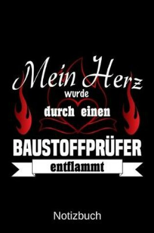 Cover of Mein Herz wurde durch einen Baustoffprufer entflammt