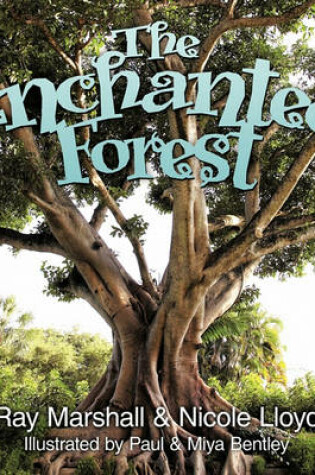 Cover of The Enchanted Forest