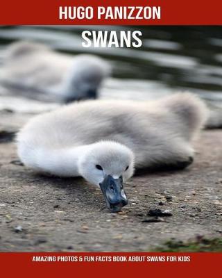 Book cover for Swans