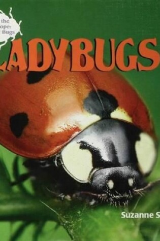 Cover of Ladybugs