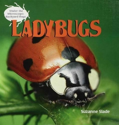 Book cover for Ladybugs