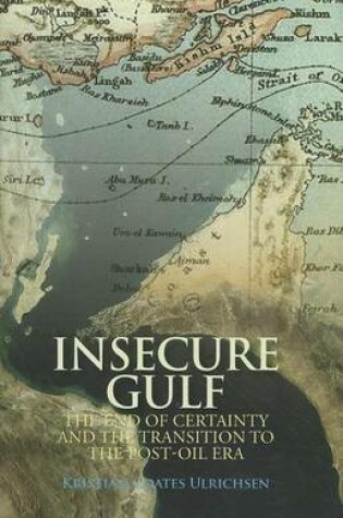 Cover of Insecure Gulf