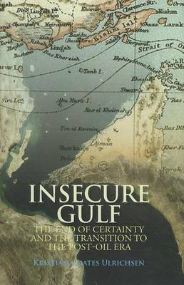 Cover of Insecure Gulf