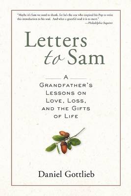 Book cover for Letters to Sam