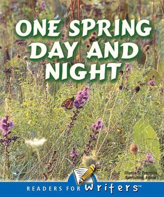 Book cover for One Spring Day and Night