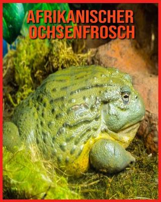 Book cover for Afrikanischer Ochsenfrosch