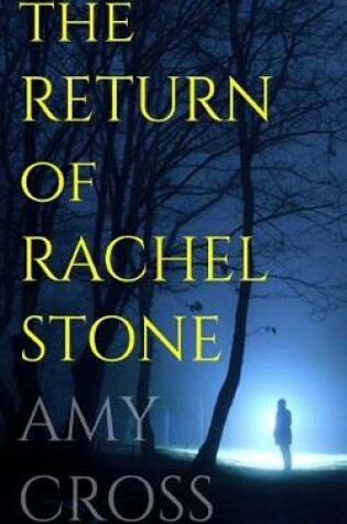 Cover of The Return of Rachel Stone