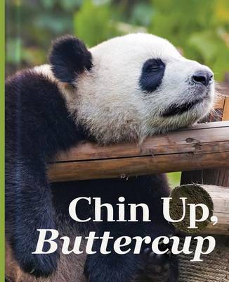 Book cover for Chin Up, Buttercup