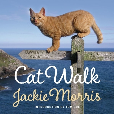 Book cover for Cat Walk
