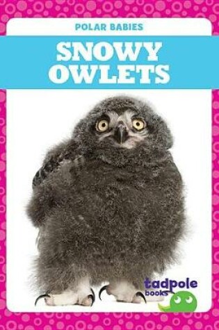 Cover of Snowy Owlets
