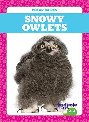 Book cover for Snowy Owlets