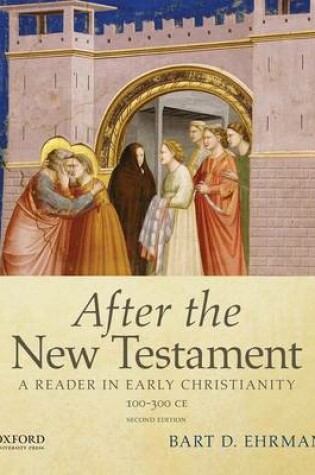 Cover of After the New Testament: 100-300 C.E.