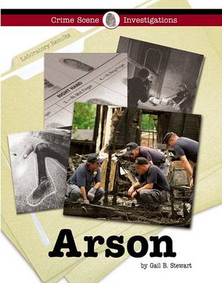 Book cover for Arson