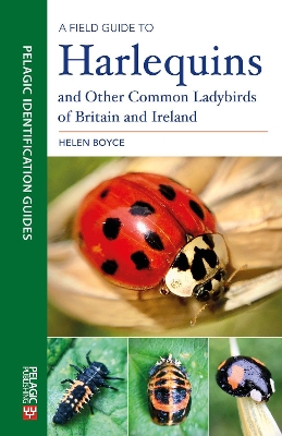 Cover of A Field Guide to Harlequins and Other Common Ladybirds of Britain and Ireland